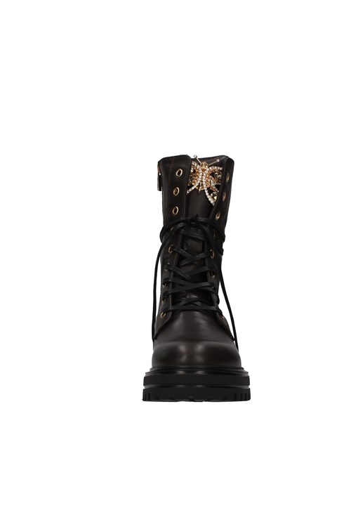 Vsl Amphibians BROWN