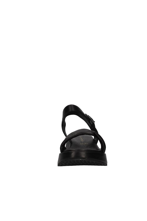 Shaddy With wedge BLACK