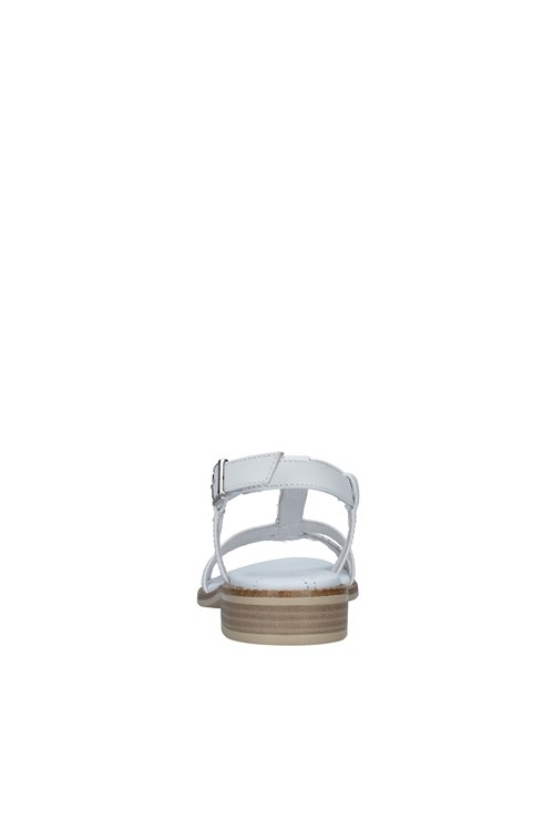 Nero Giardini Netherlands WHITE