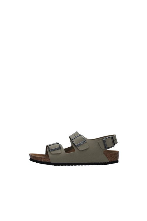 Birkenstock Netherlands GREEN