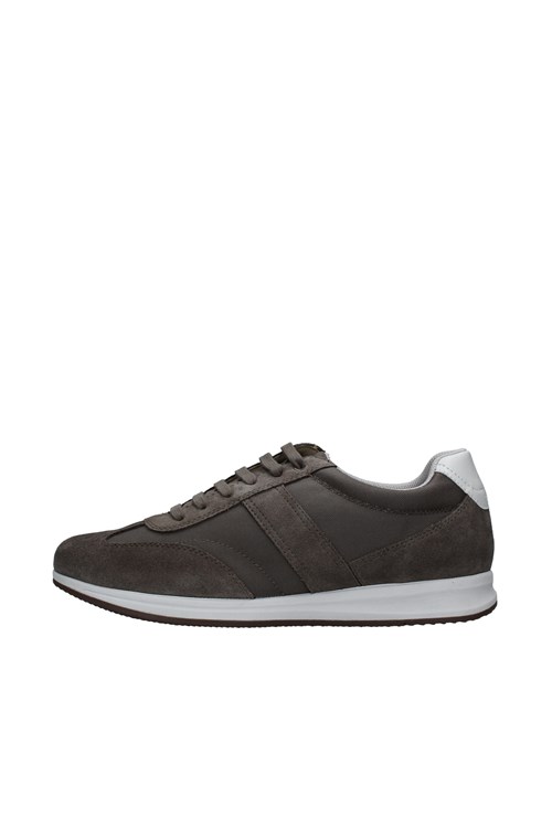 Geox low GREY