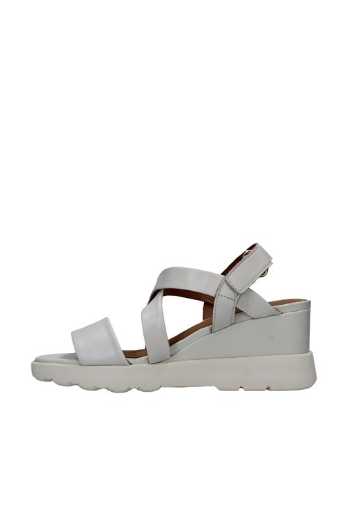 Geox With wedge WHITE