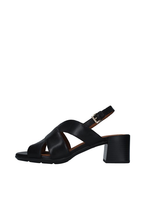Geox With heel BLACK