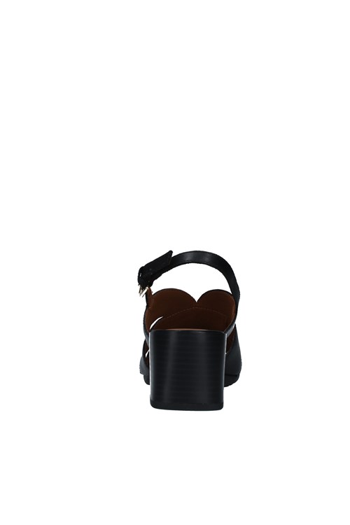 Geox With heel BLACK