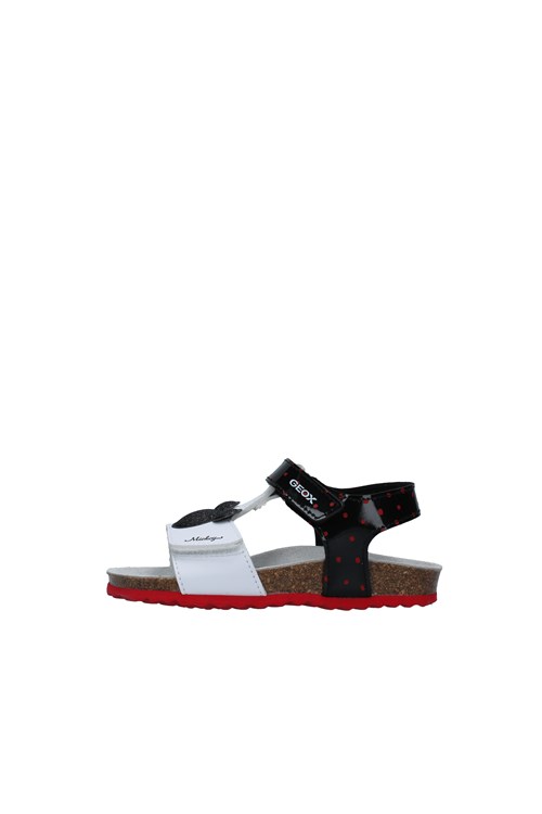 Geox Junior Netherlands WHITE