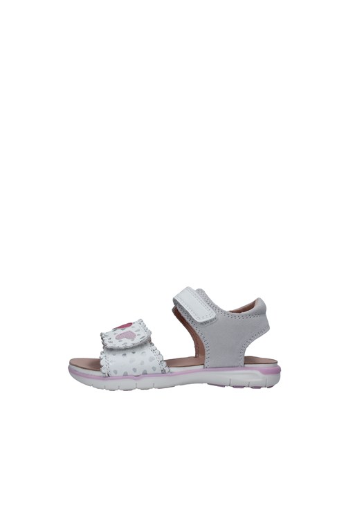 Geox Junior Netherlands WHITE