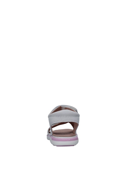 Geox Junior Netherlands WHITE