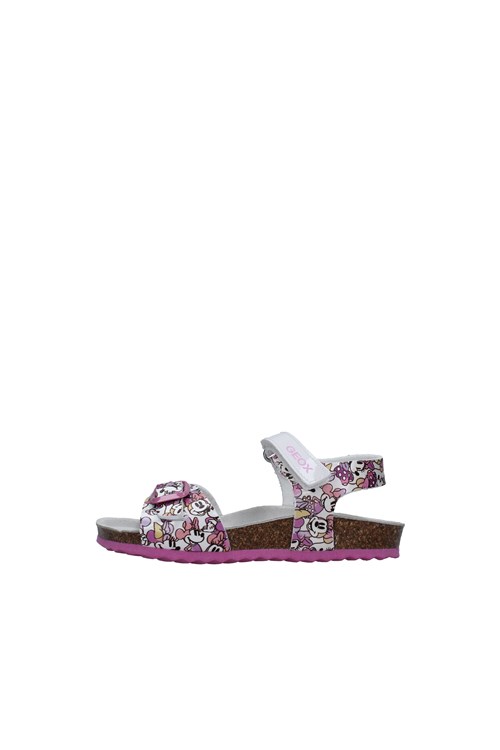 Geox Junior Netherlands WHITE
