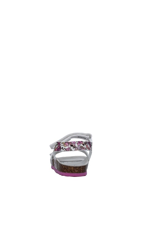 Geox Junior Netherlands WHITE