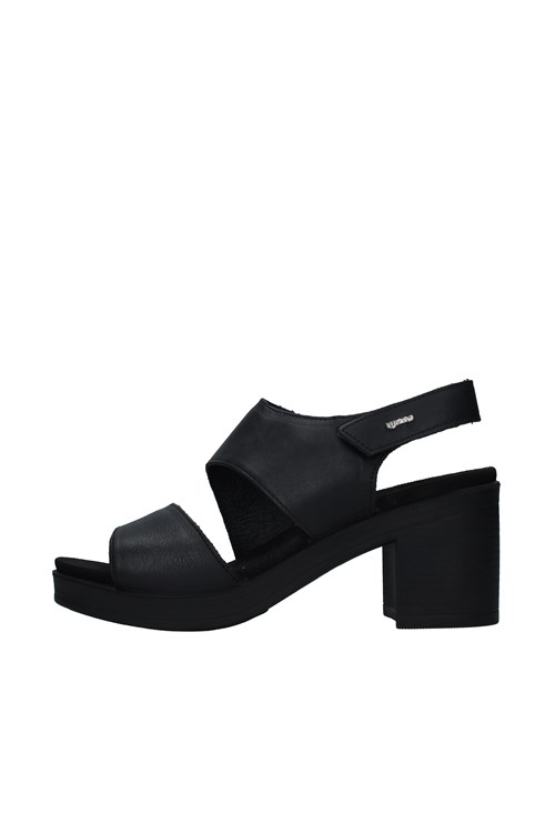 Igi&co With heel BLACK