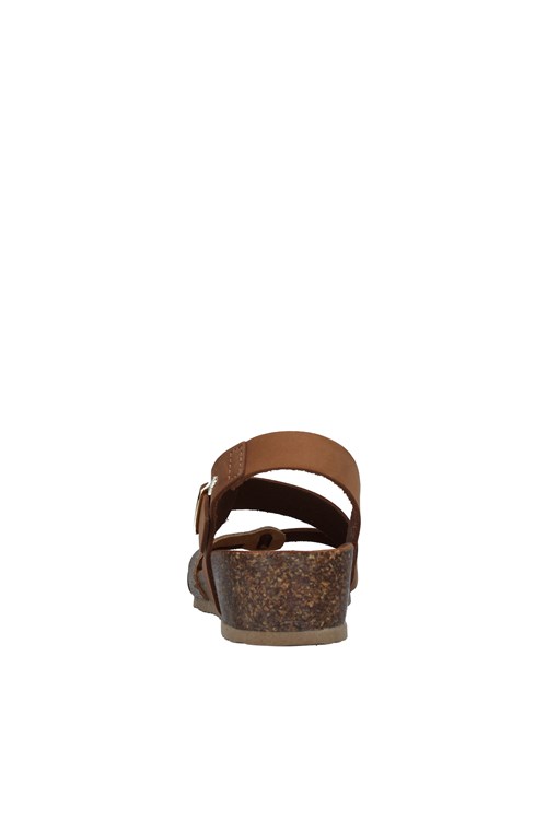 Igi&co Netherlands BROWN