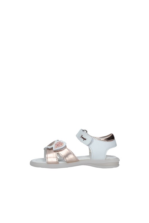 Primigi Netherlands WHITE