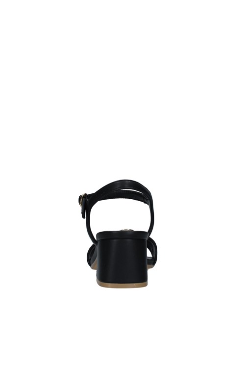Gattinoni Roma With heel BLACK