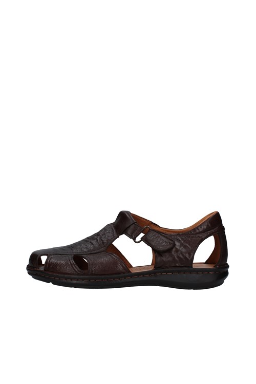 Melluso Netherlands BROWN