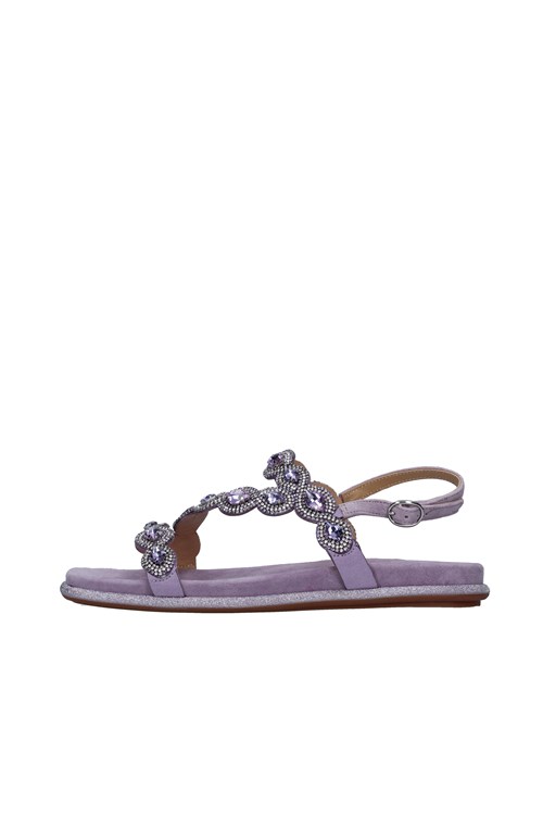 Alma En Pena Netherlands VIOLET