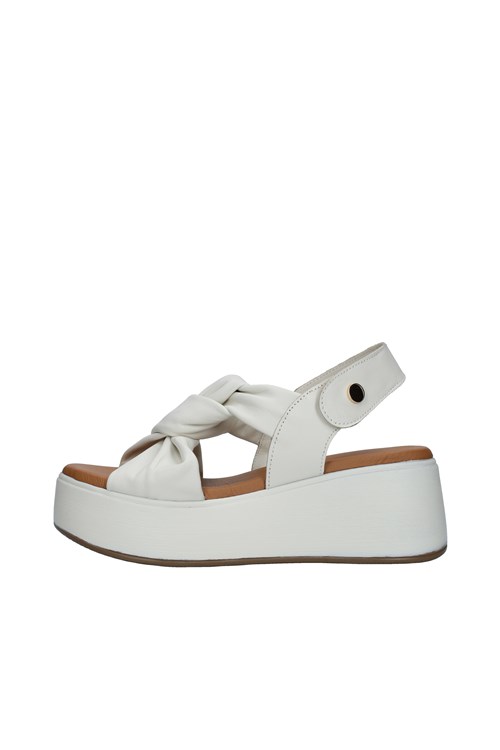 Epoche' Xi With wedge WHITE