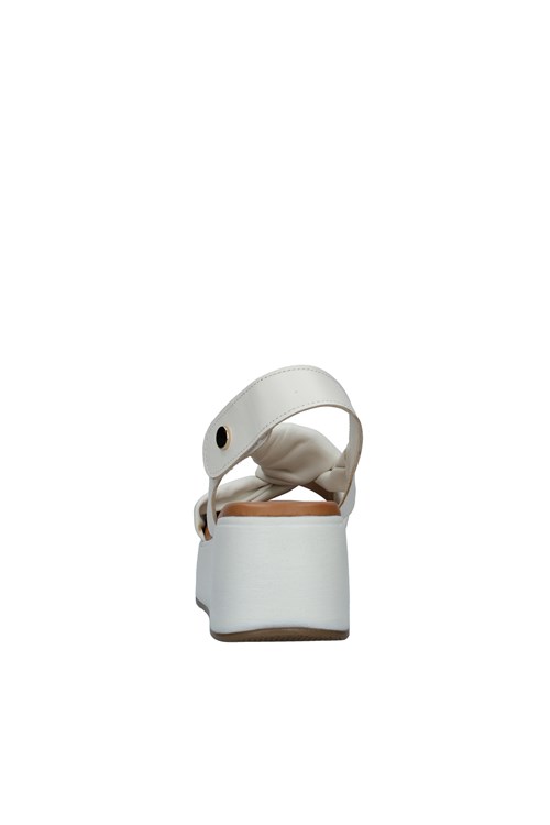 Epoche' Xi With wedge WHITE