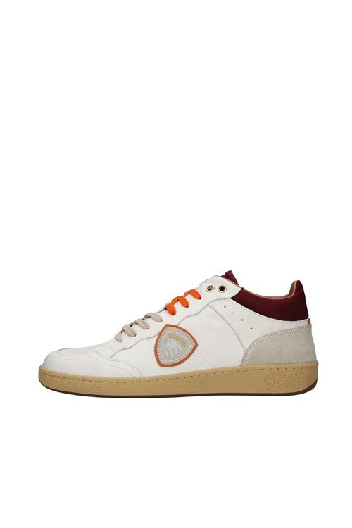 Blauer low WHITE