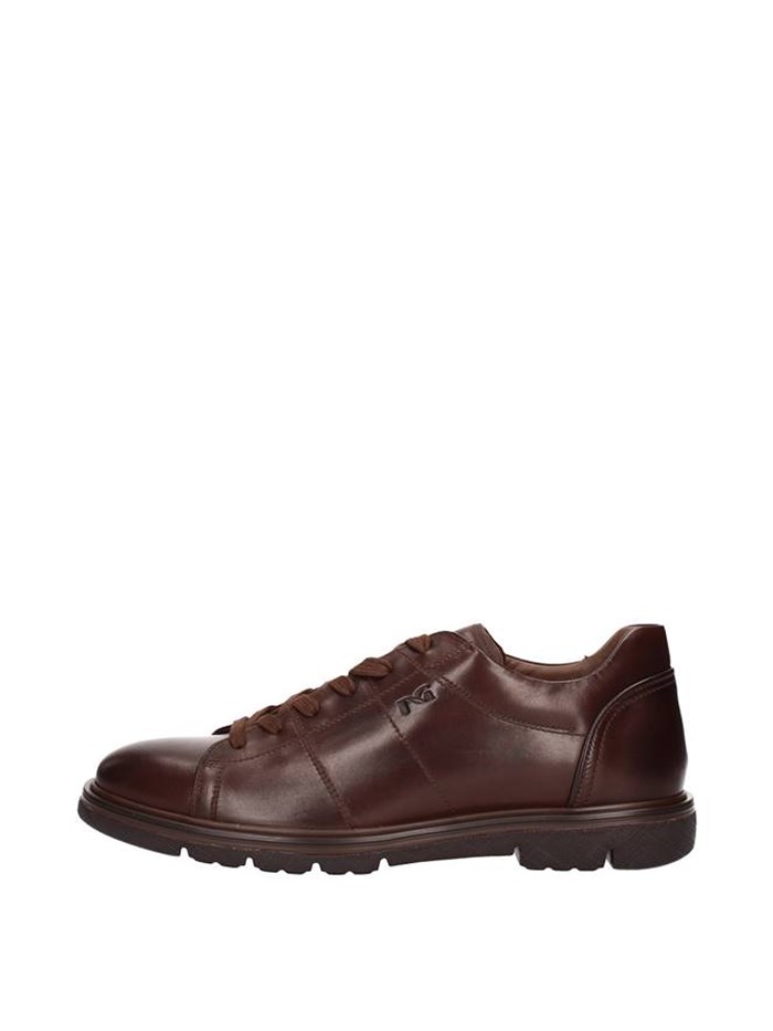 Nero Giardini Shoes Man low BROWN A800552U