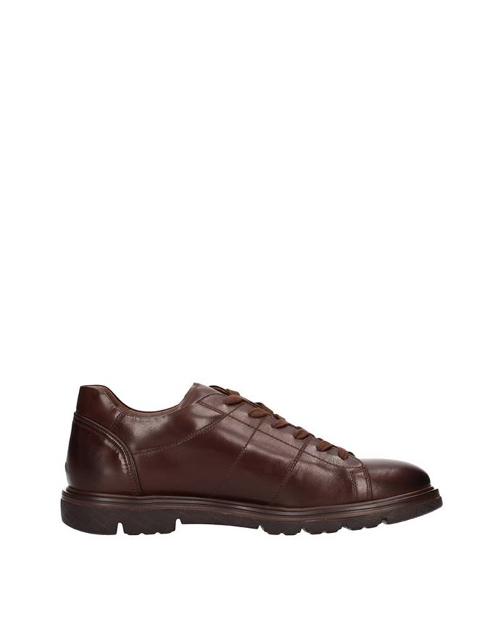 Nero Giardini Shoes Man low BROWN A800552U