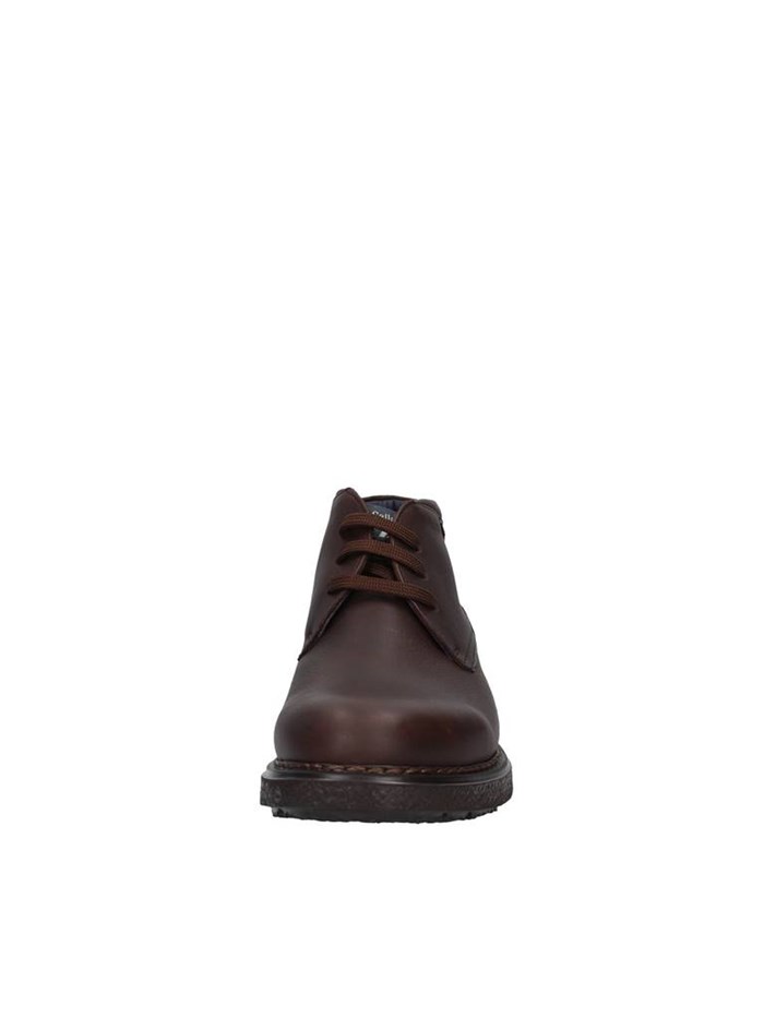 Callaghan Shoes Man Ankle BROWN 12302