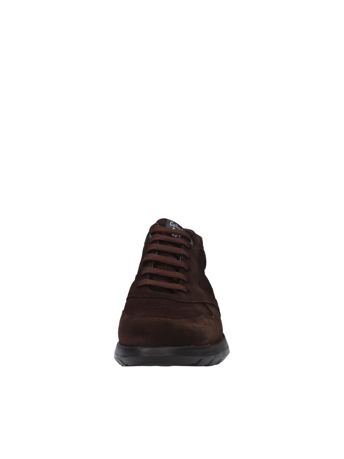 Callaghan Shoes Man low BROWN 42604