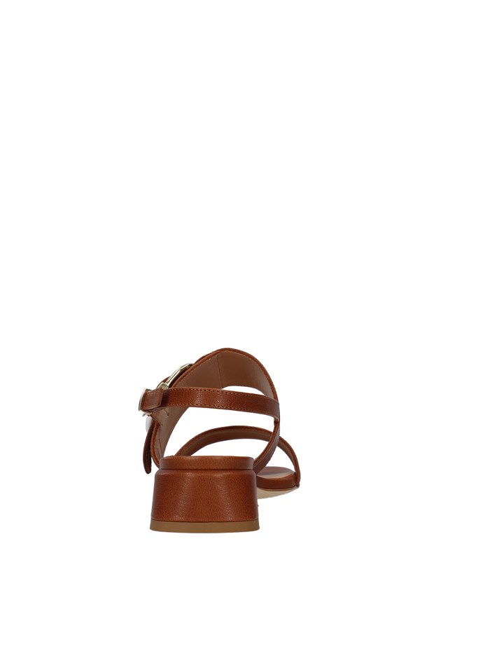 Tres Jolie 2083/MUSA BROWN Shoes Woman