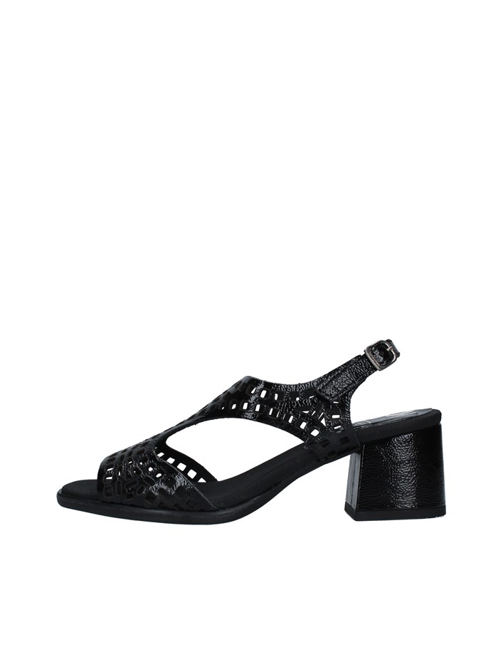 Callaghan 29213 BLACK Shoes Woman