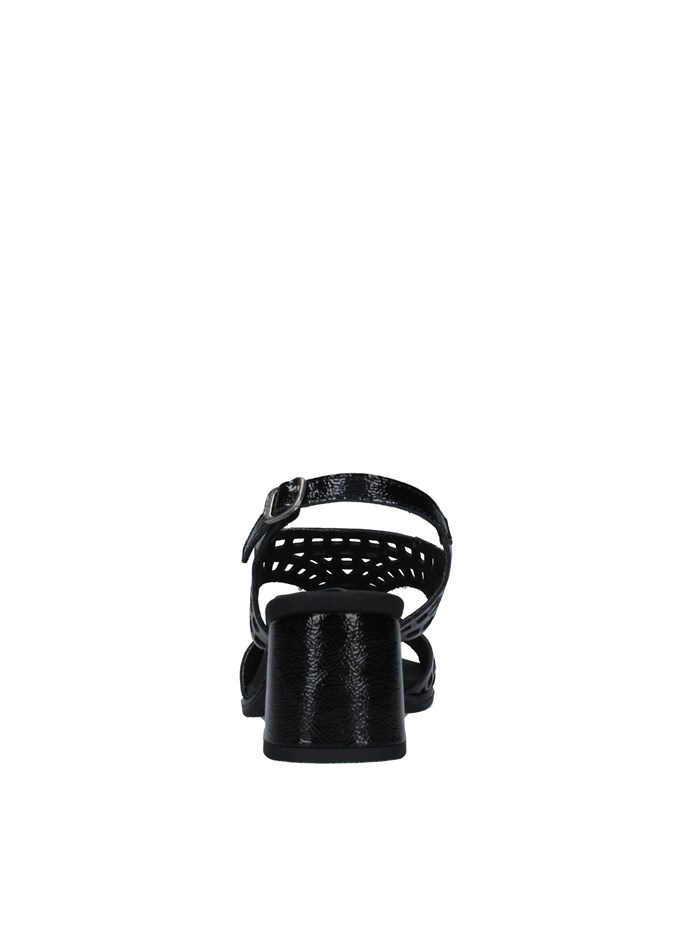 Callaghan 29213 BLACK Shoes Woman