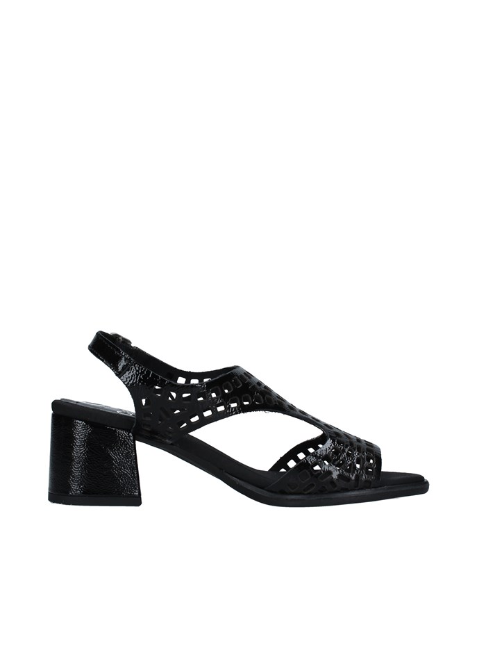 Callaghan 29213 BLACK Shoes Woman