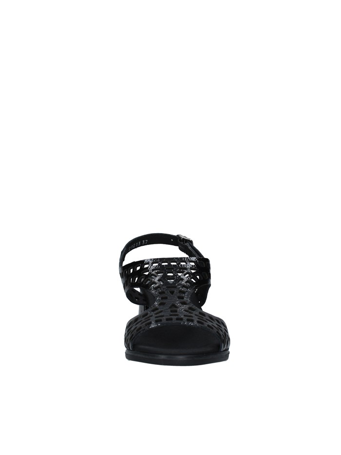 Callaghan 29213 BLACK Shoes Woman