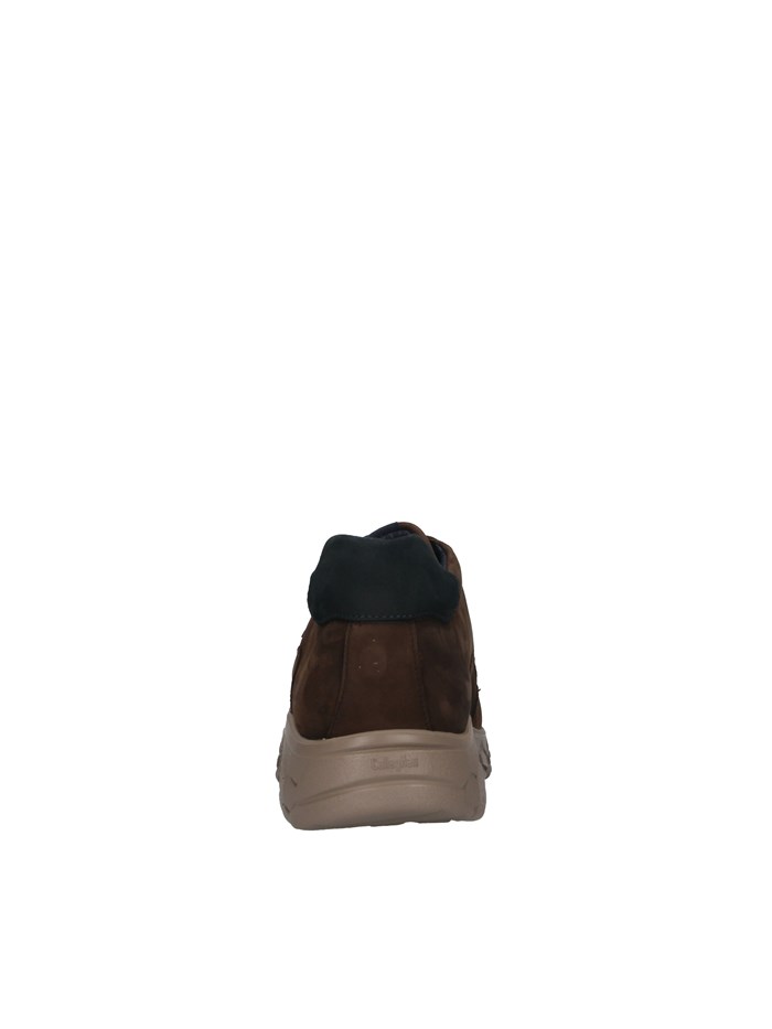 Callaghan 50901 BROWN Shoes Man
