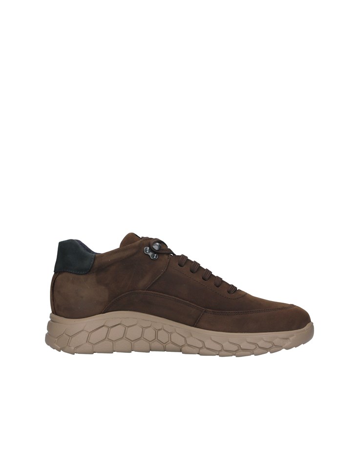 Callaghan 50901 BROWN Shoes Man
