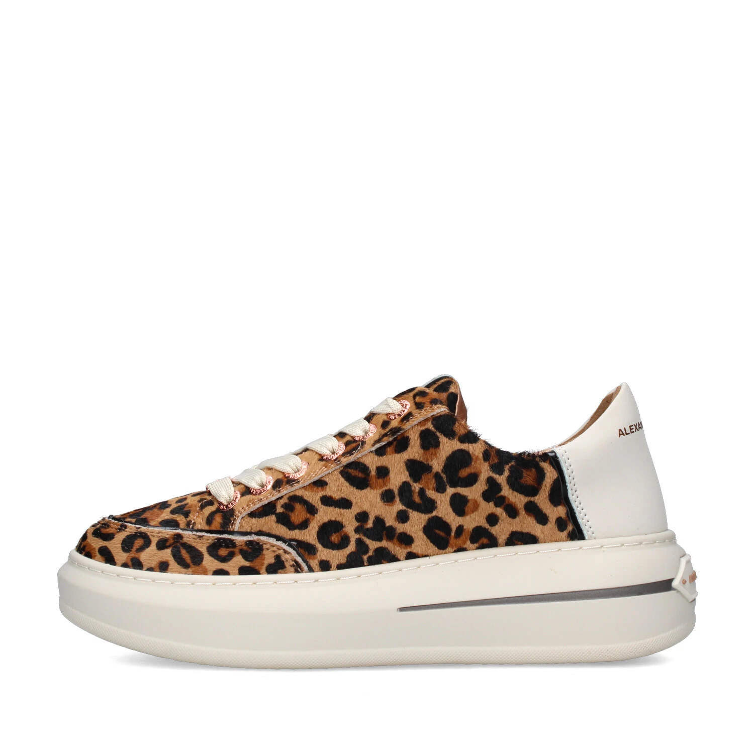 SNEAKERS BASSE ASBCLSW-1856-CSF DONNA BEIGE