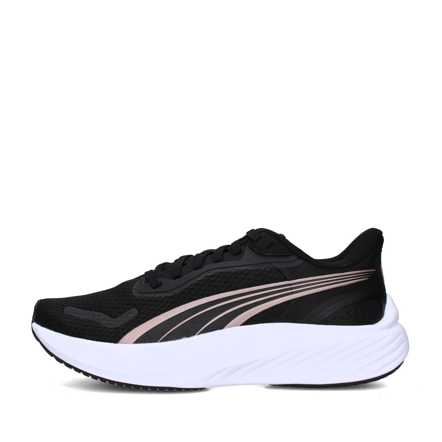 SNEAKERS BASSE 310778-18 DONNA NERO