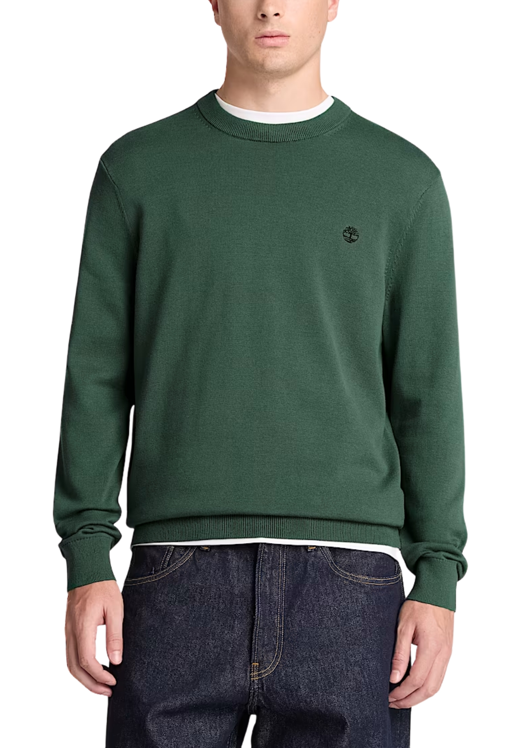 MAGLIA GIROCOLLO IN COTONE UOMO VERDE