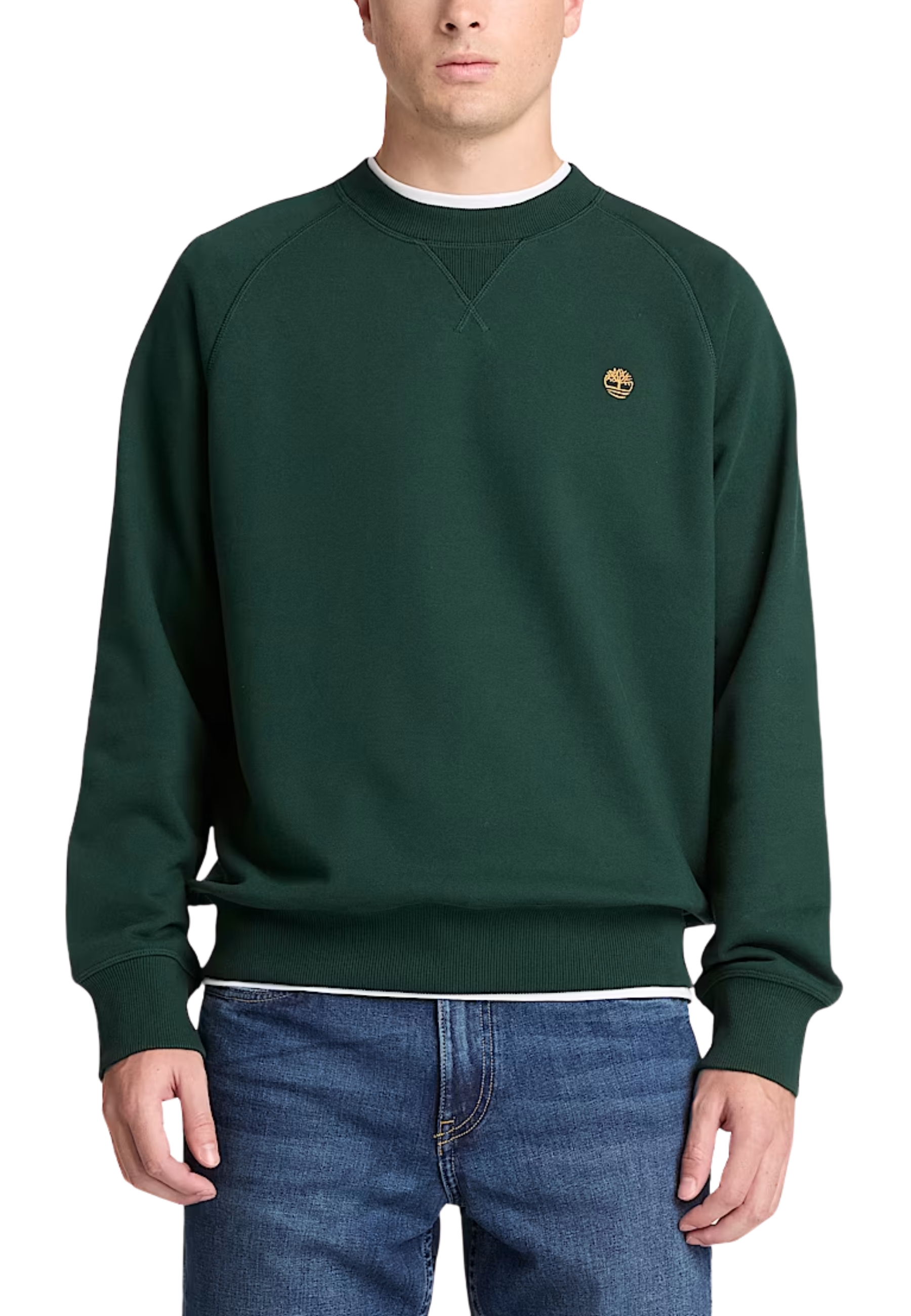 FELPA GIROCOLLO CON MANICHE RAGLAN UOMO VERDE